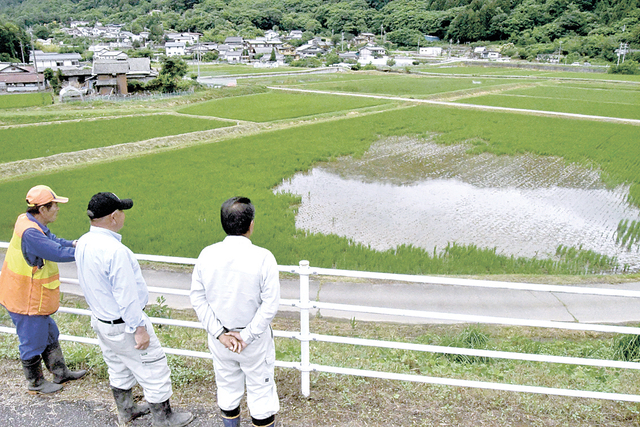 【コメ】シカによる水稲食害、長野県松本市中山で深刻　広域的な対策急務に